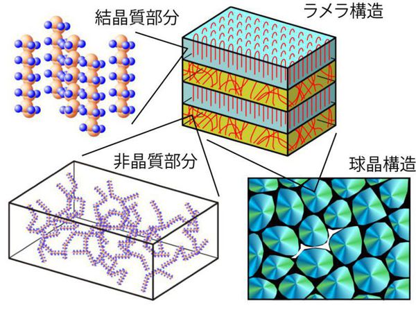 結晶性・非晶性ポリマの微視的変形機構に基づく高分子塑性論の構築