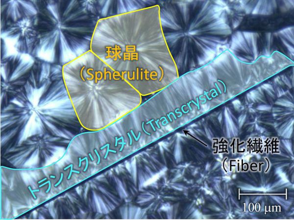 熱可塑性複合材料におけるトランスクリスタルの影響